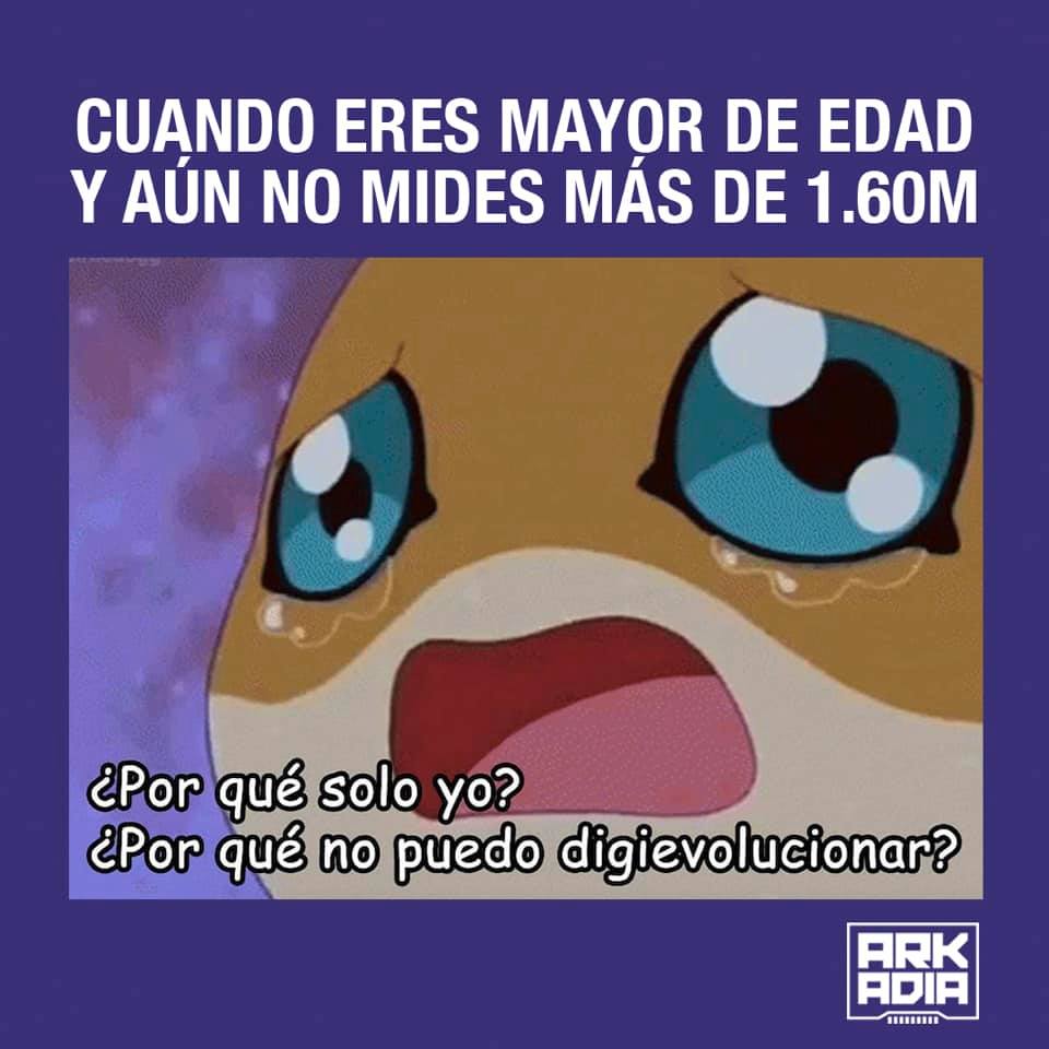 diginfluencemx's tweet photo. ¿Conoces a alguien que tenga este sentir? JAJAJAJA @MxArkadia #SitiosDIM #FelizViernes https://t.co/Q9bXK3F97Z