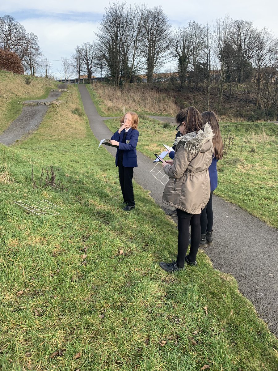 Mrs Dryburgh (@mrs_dryburgh) on Twitter photo 1L took their learning outside today and used quadrats to investigate the abundance of different plants in different areas of the school grounds 🌿 <a href="/LHS_Science_/">LHS Science</a> <a href="/S1LHSYT/">S1 LHS YT</a> <a href="/LHSLearning/">LHS-L&T</a> 1L took their learning outside today and used quadrats to investigate the abundance of different plants in different areas of the school grounds 🌿 <a href="/LHS_Science_/">LHS Science</a> <a href="/S1LHSYT/">S1 LHS YT</a> <a href="/LHSLearning/">LHS-L&T</a>
