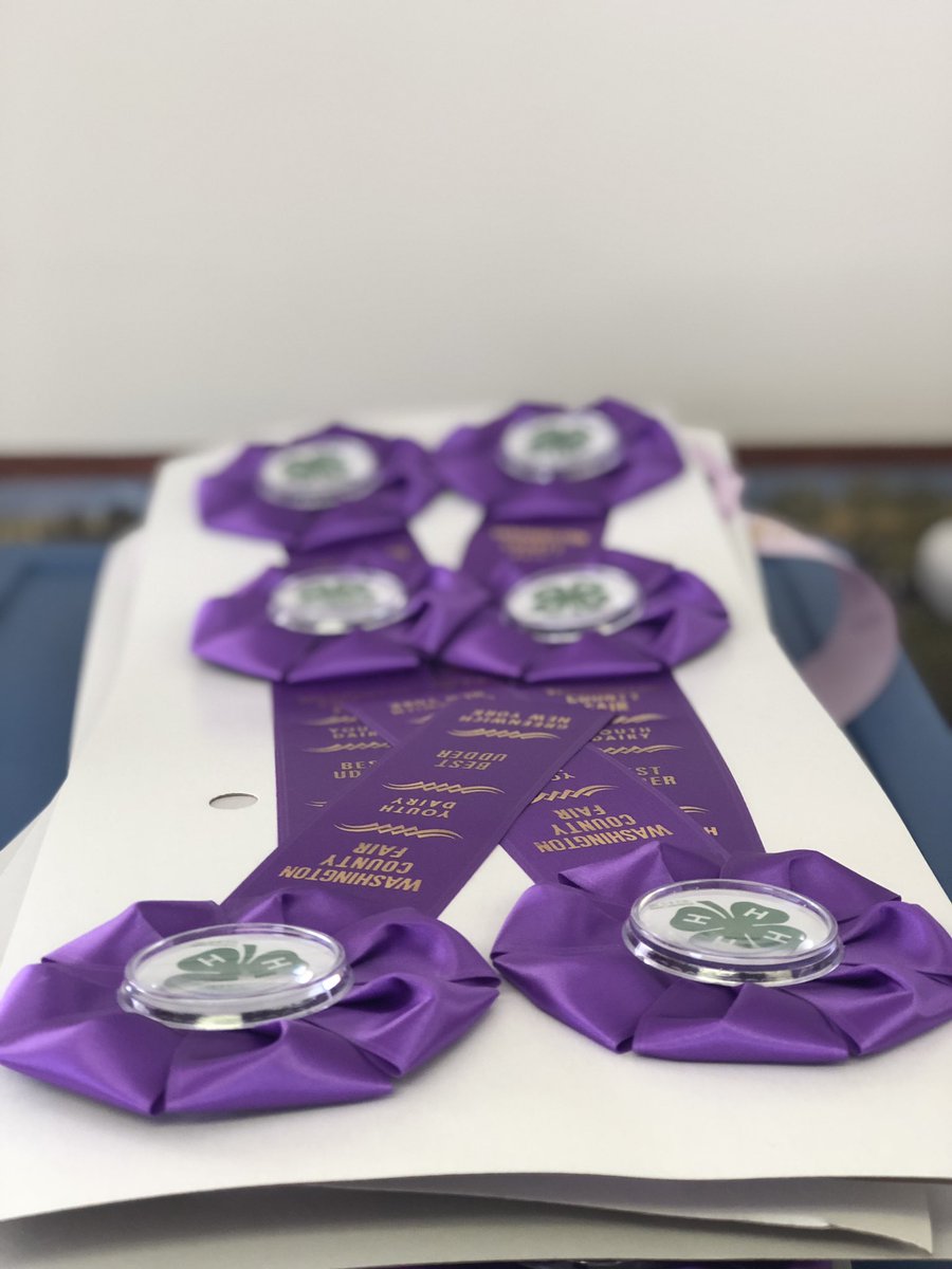 WashingtonCountyFairNY tweet media