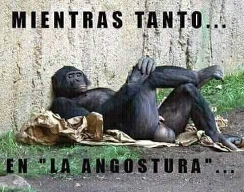 AriesSanche's tweet photo. @hectordaer @eldestape_radio La CGT y Macri un Solo Corazón. 
#PongamosUnaFotoDeCFK 
#BuenViernes https://t.co/fiwWjA02yt