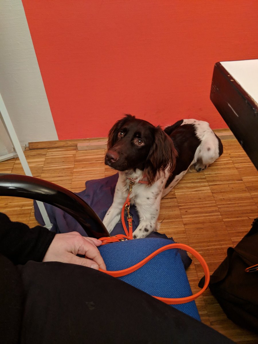 Klaus ist heute mit dabei bei dem Treffen des <a href="/AKDigiGes/">AK Digitale Gesellschaft 🇪🇺</a>. Wir sprechen über die Umsetzung des #OZG vor allem in den Kommunen in #SchleswigHolstein. Da geht's zum Beispiel darum, wie man die Hundesteuer komplett online beantragen und bezahlen kann.  #ITVSH