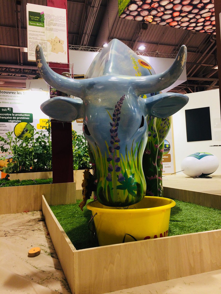 CommAgriAgro's tweet image. À vos marques, prêts... #SIA2019 stand @terresoleopro hall 2.2. @Salondelagri avec @Hello_Alim #protéinesVegetales #OnEstPret