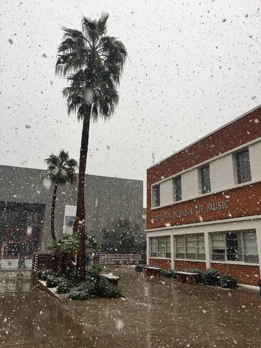 UA_TFTV's tweet photo. It’s all topsy-turvy here in the Fine Arts corner! We’ve got snow! https://t.co/DBxgYlACxG