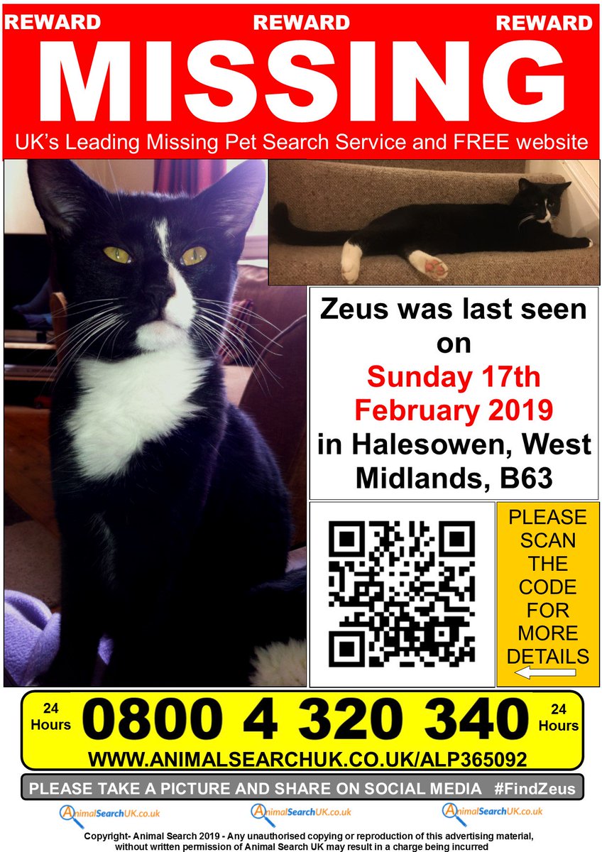 AnimalSearchUK's tweet photo. PLEASE SHARE - MISSING CAT FROM HALESOWEN, WEST MIDLANDS, B63
Have you seen Zeus?
Any information or sightings, please visit his profile below where there are more details and you can message his owner direct.
https://t.co/jBlkZjtGMi
#FindZeus #MissingCat #LostCat https://t.co/XIN2dU4Aeg