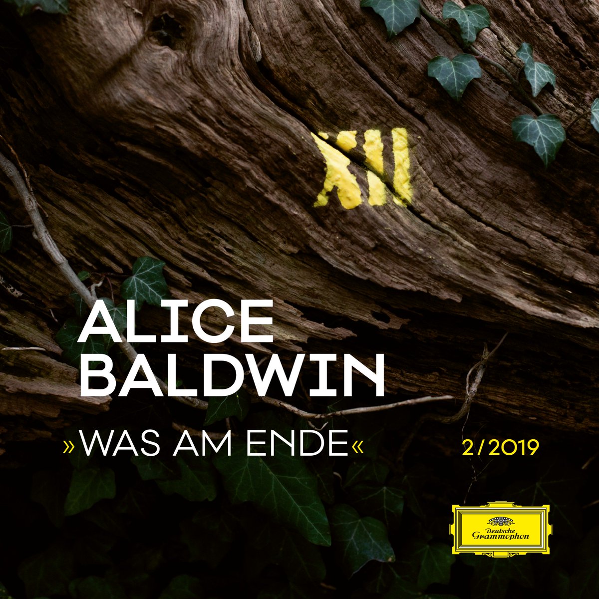 For the month of February, Project “12” continues with “Was Am Ende” by pianist and composer <a href="/Alice__Baldwin/">Alice Baldwin</a>. The powerful work is dedicated to Baldwin’s dear friend and serves as a reminder of what remains after tragic moments in life. Listen here: DG.lnk.to/Project12