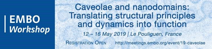 #EMBOcaveolae - 1stmeeting in history fully devoted to these fascinating structures in normal &amp; pathophysiological contexts. Great speakers, low fees for students &amp; postdocs, many talks from submitted abstracts, this May in French Brittany!!  meetings.embo.org/event/19-caveo…