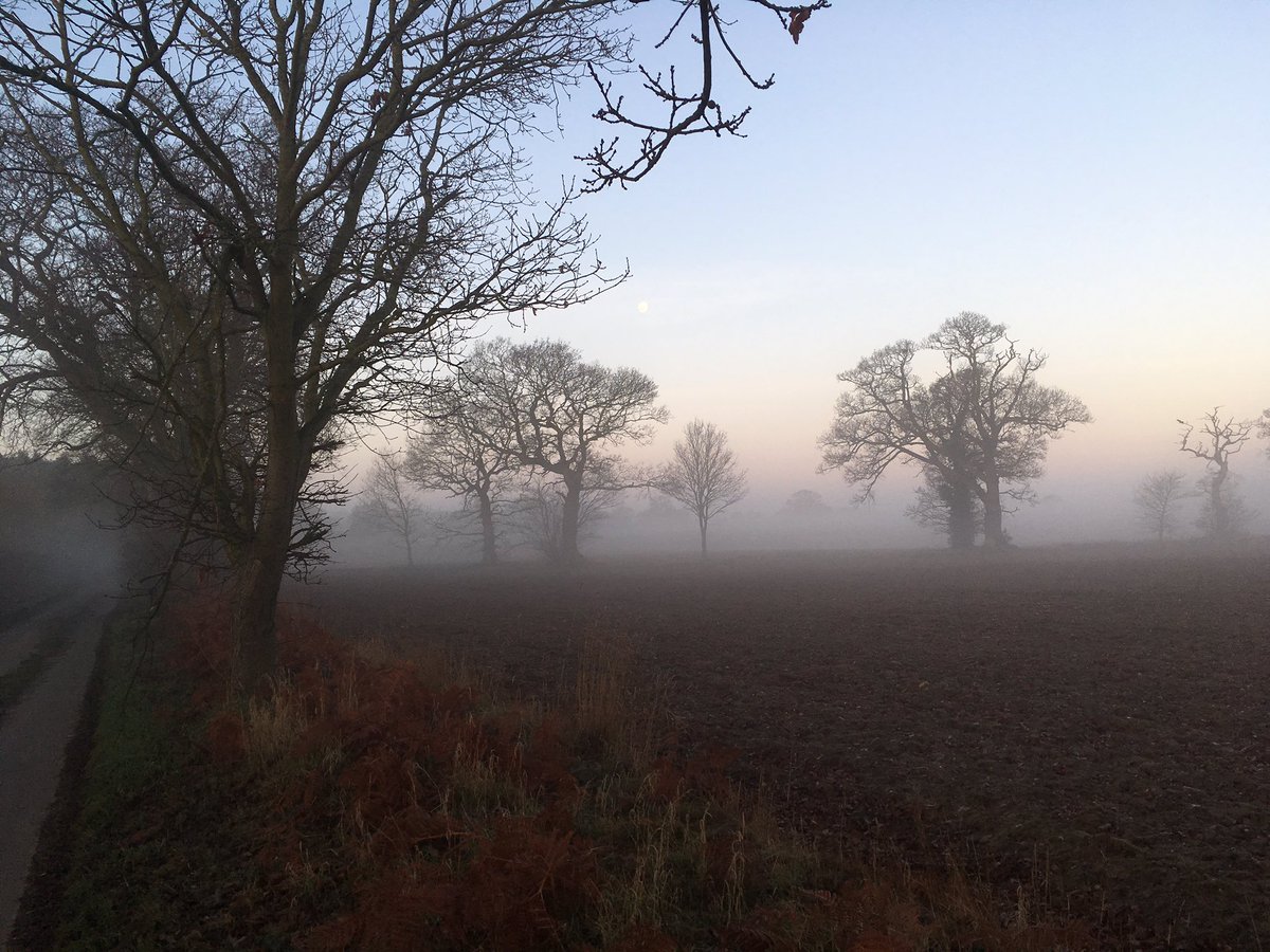 Beautiful misty walk this morning along part of the @BureValley track @atnorfolk  #lovenorfolk #earlymorningwalks