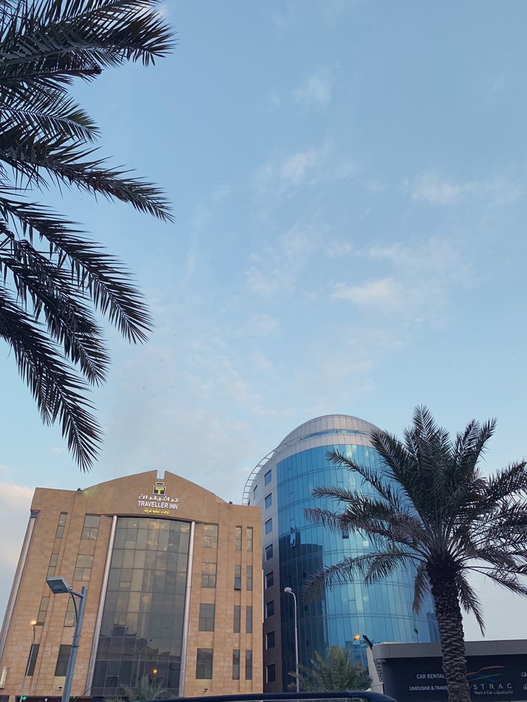 مين بالخبر يكون معضل او نحيف  لدب جاد