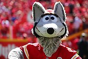 MCIrishpalooza's tweet image. Our #FridayFeeling is #ChiefsRed because @kcwolf will be in the 2019 Martin City St. Patrick's Parade! #BeInspired with us on March 10, 2:00 PM #GetYourGreenOn