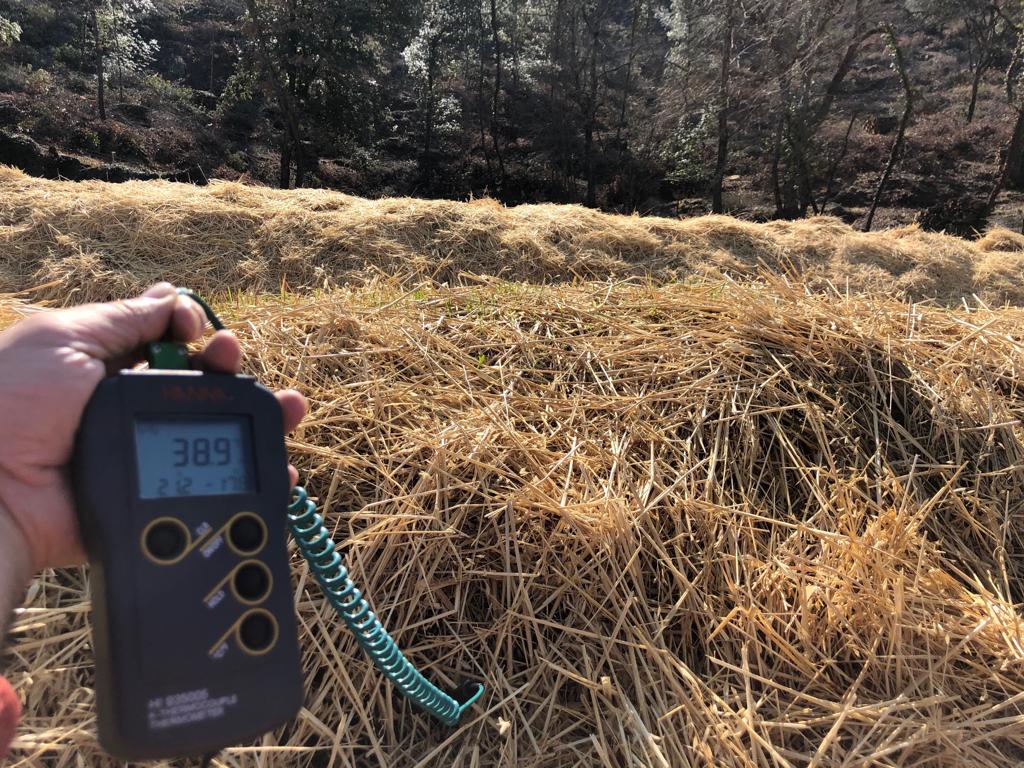 podereforte's tweet photo. I compost biodinamici

A Podere Forte realizziamo dei compost biodinamici impiegando gli scarti del nostro allevamento di Vacche di razza Chianina mescolandoli con residui vegetali come paglia e cippato. #biodinamica #biodinamyc #valdorcia #instagood #podereforte https://t.co/m2JylRdDII
