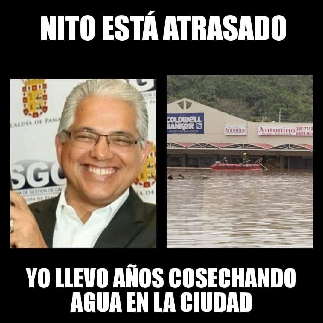 Blandón le lleva calle, nito ni sabe, ta en pañales