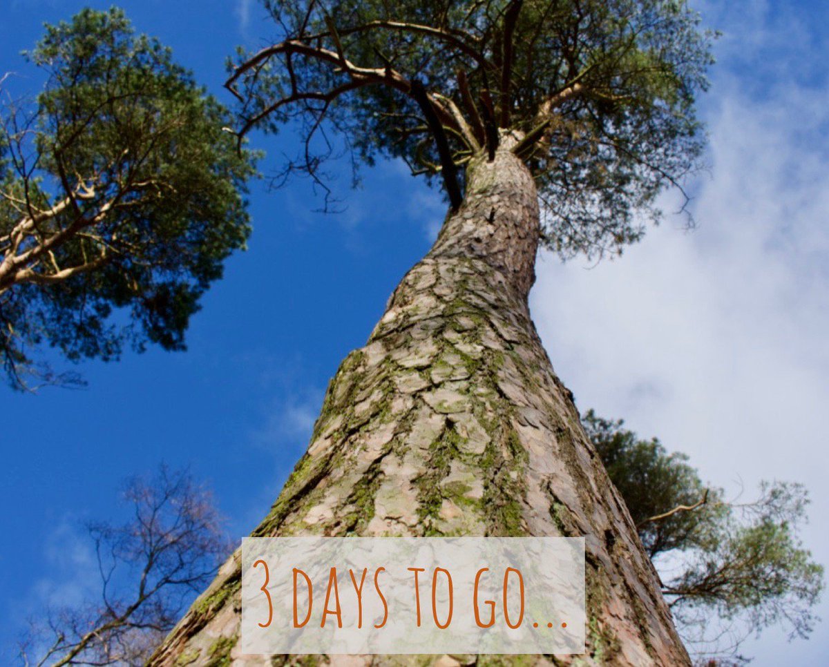 AFONature's tweet photo. 3 days until #NowforNature week - what will you pledge to do for our environment? #countdown #VisionforNature https://t.co/AJsYZ9dZyt