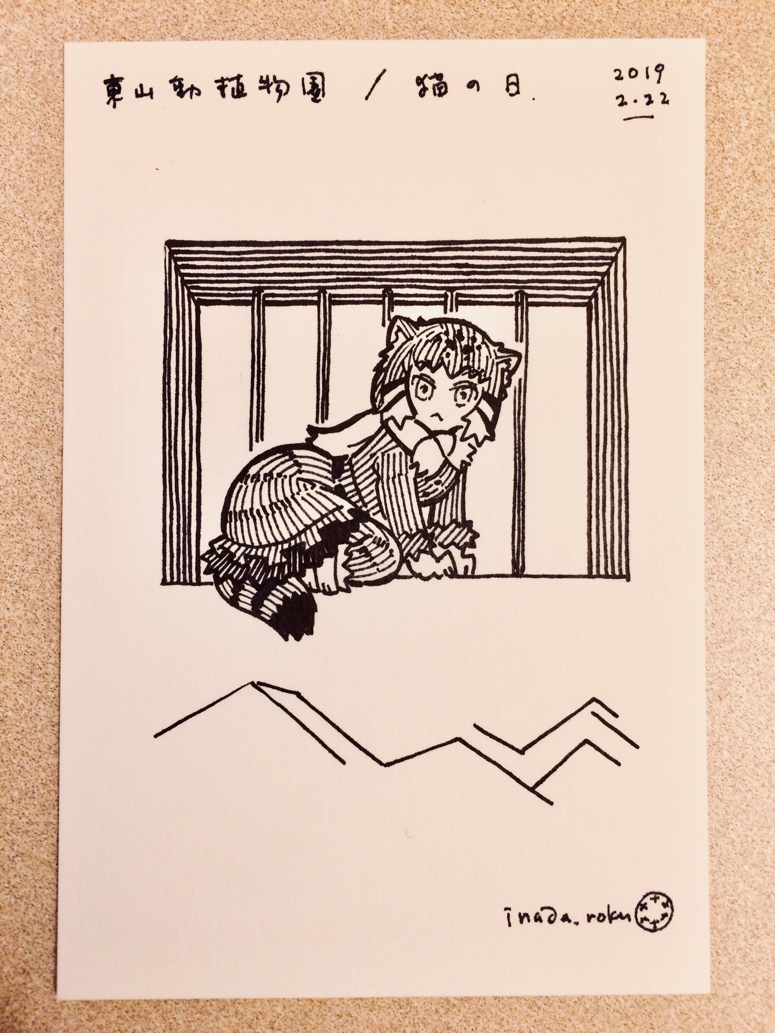 いなだ En Twitter 東山にはマヌルネコが2頭いる 2頭とも高窓のへりに座ってじっとしていた 肉食小獣 舎にはネコ科がたくさん カラカル ジャガー サーバル ユキヒョウ スナドリネコもいるよ 猫の日 けものフレンズ