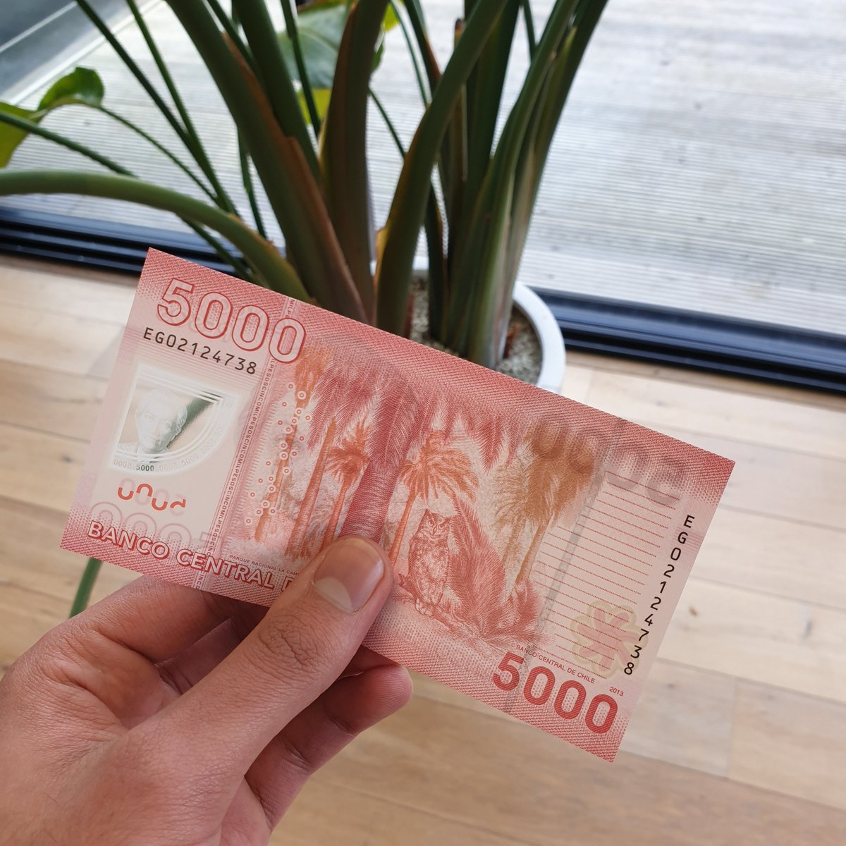 CompEncuestasCL's tweet photo. Aprovecha al máximo tu fin de semana con estas recompensas geniales. ¡Completa las encuestas y empieza a beneficiarte ahora mismo! ¡Registrate aquí! => https://t.co/kMDNVuDtmC https://t.co/jaTAxtewBC