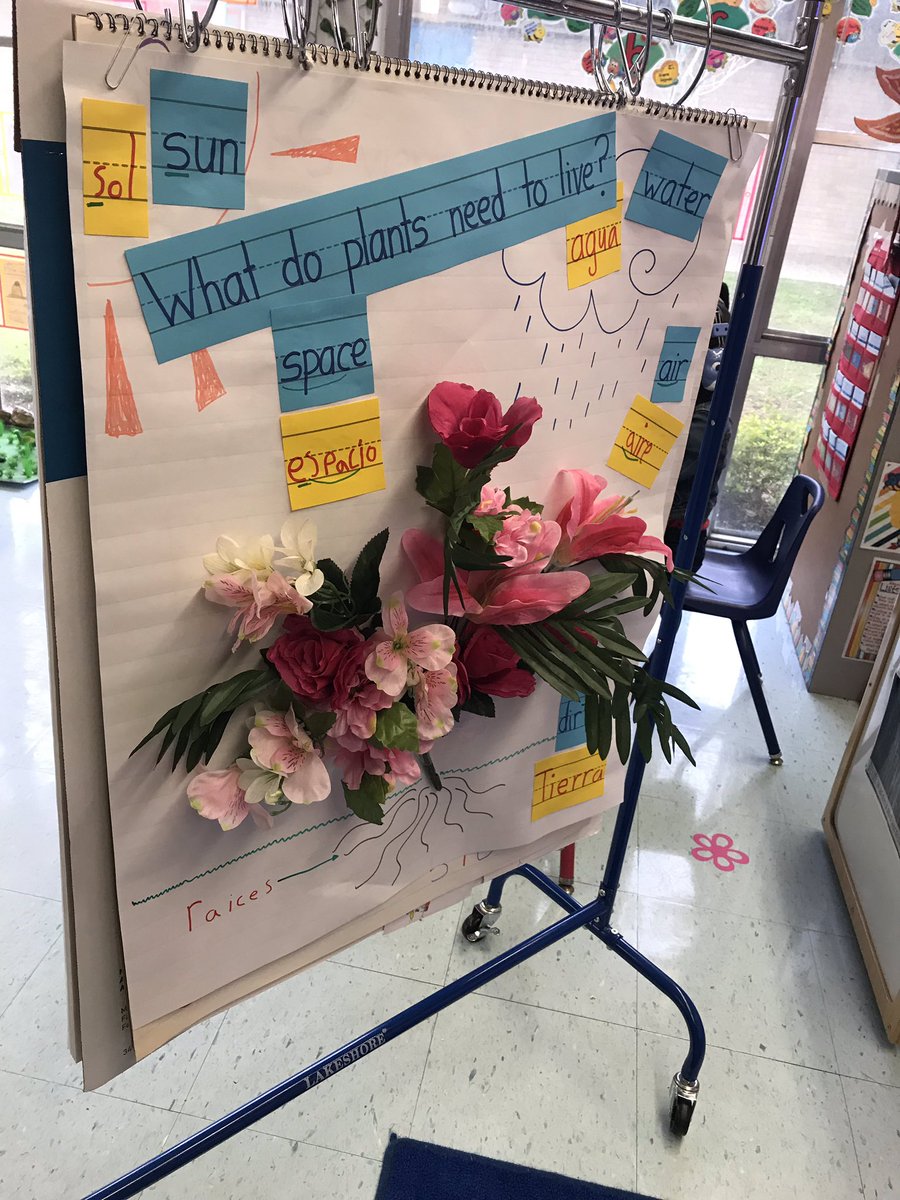 Leigha_Curry7's tweet photo. @HISDMultiPrgms only gets to see this today, but I have the pleasure of seeing this awesomeNESS everyday! #LetLoveLeadπ #DLinACTION @Elrod_HISD https://t.co/KfANbb4ARF