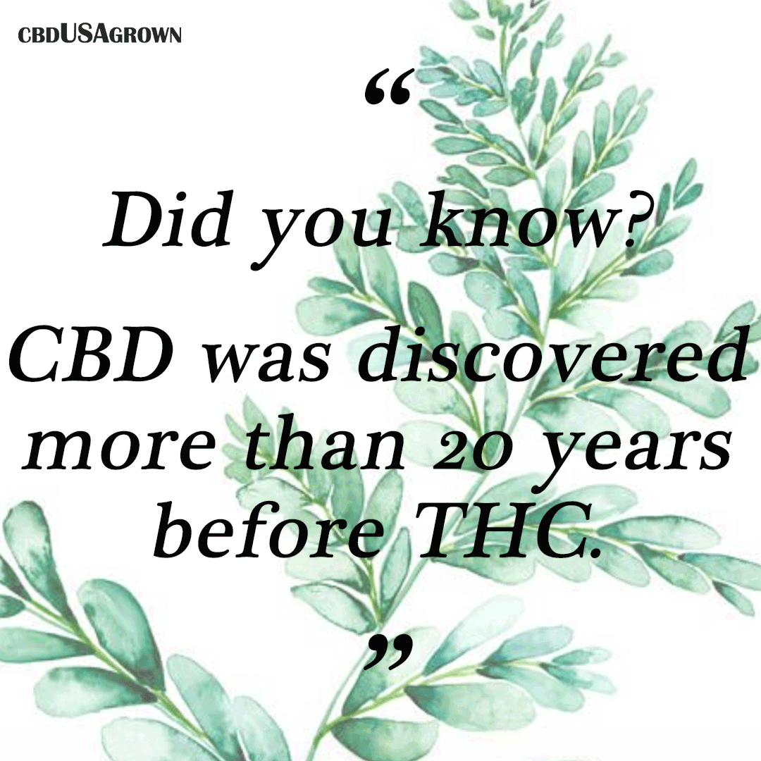 cbdusagrown1's tweet photo. CBD was first discovered by Dr. Roger Adams and his team at the University of Illinois in 1940. Although CBD was discovered more than 20 years before THC, THC has remained the main focus of cannabis research until recently. 🌿
https://t.co/JYV9EqMS2k
#cbdusagrown #themoreyouknow https://t.co/6sditWpWix
