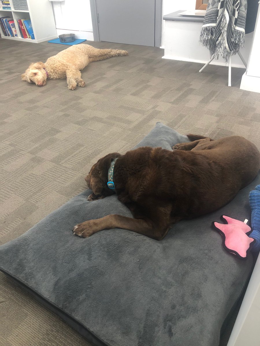 SamSwinstead's tweet photo. Chilled Friday vibe at the @vivoHR office today :-) https://t.co/vvnFXcwQMO