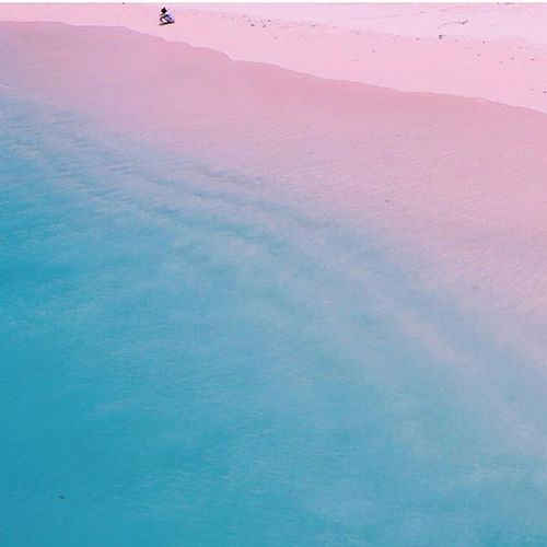 美しい自然 絶景 カリブ海のピンクサンドビーチ