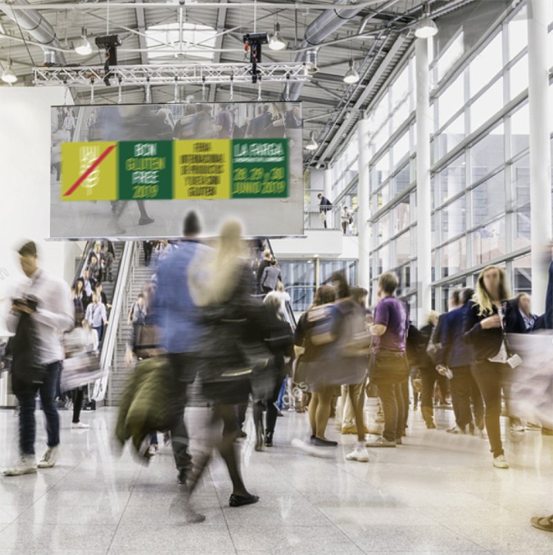 #BCNGlutenFree2019:
📍3000 m² dedicados a la alimentación #singluten y #sinlactosa
🍴Show cookings⁣⁣⁣⁣
🍪 Talleres de cocina 
🍰 Actividades infantiles⁣⁣⁣⁣
🥙 Degustaciones⁣⁣⁣⁣
🎈Sorteos⁣⁣⁣⁣
28-30 junio 2019 ...⁣⁣⁣⁣¿quién no debería perdérselo?