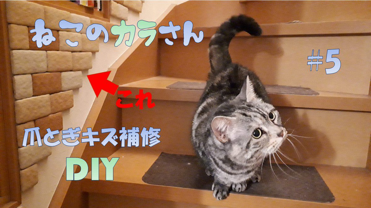 ばんぼんど Pa Twitter こんばんは にゃんこの困った のための Diy動画アップしました 猫の爪とぎ痕を補修します 我が家の壁はレンガだらけ 笑 T Co S0j81hyj57 マンチカン Diy 猫 ぽっちゃり 壁紙 かわいい ブサカワ 鳴き声 癒し