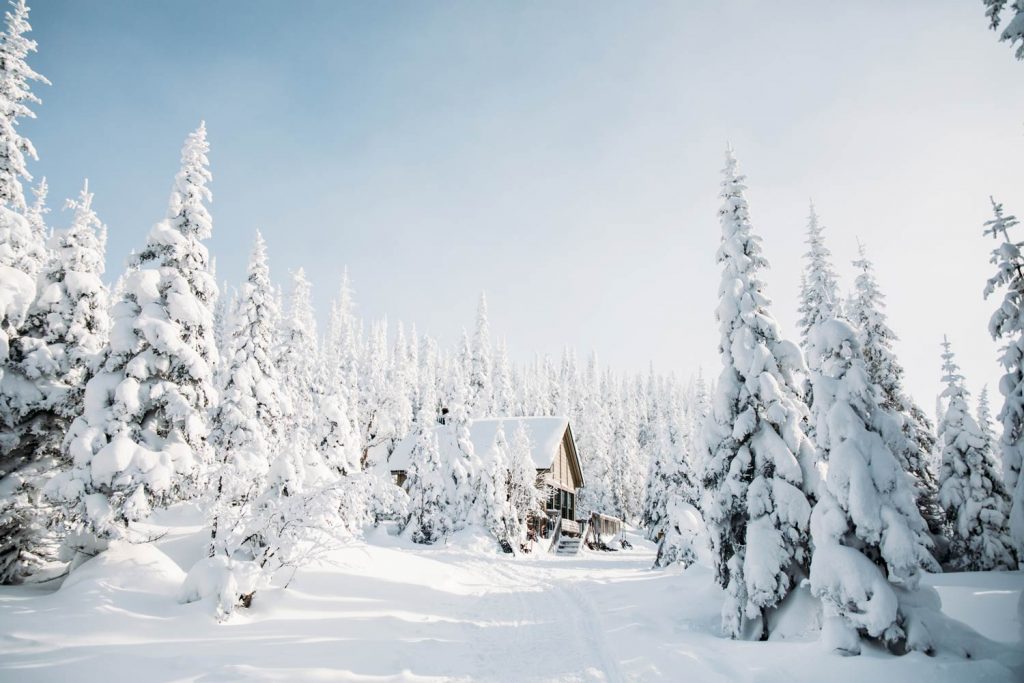 hellolaroux tweet media