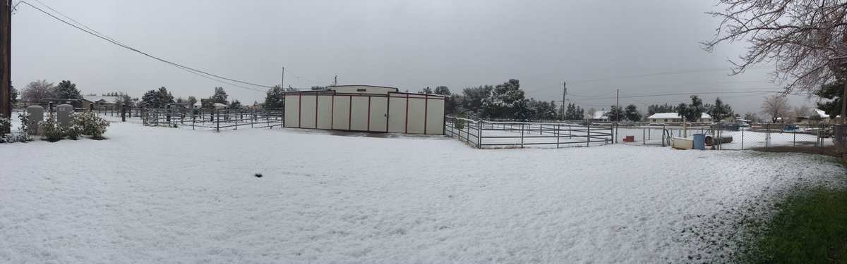 We had a little bit of #snow in #LasVegas yesterday. #winterstorm