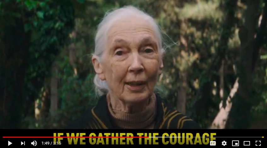 JaneGoodallInst's tweet photo. Watch, Read more and get involved: https://t.co/s7dtm6TQyW #climateaction @antonioguterres @UN #forgottensolution https://t.co/EoP0MMdoPj
