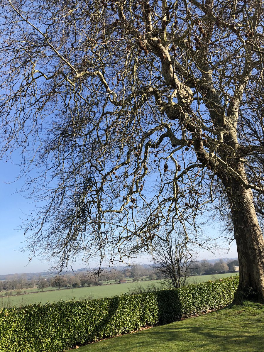 Talbooth House & Spa tweet media