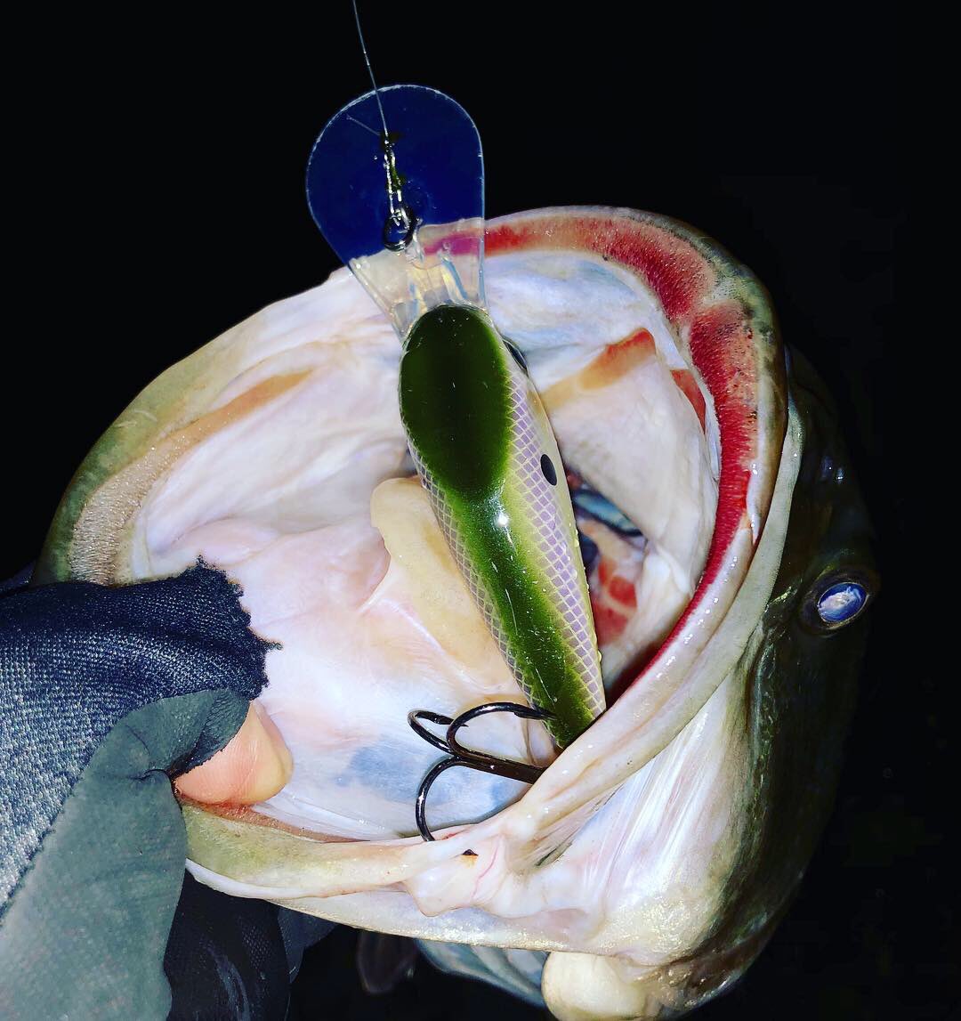 NOT_TAKATOYO's tweet image. ばっくんちょ！！
#ZBOSS