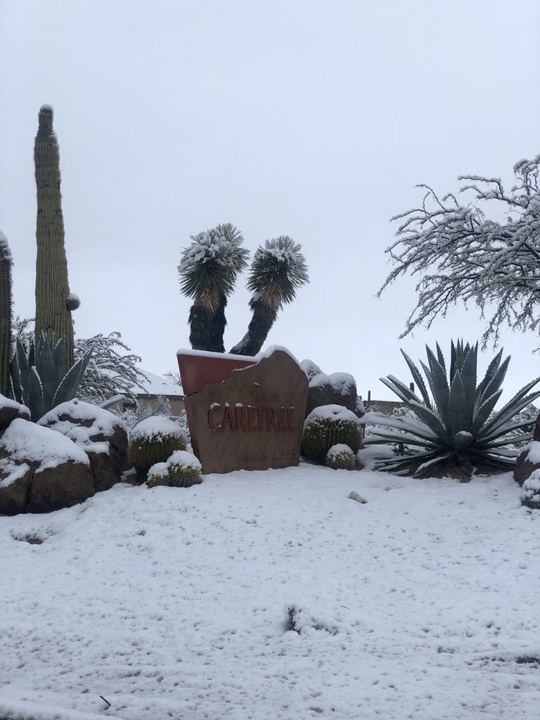 azlocal_lindsey's tweet image. I just can’t stop myself from posting pictures of this snow in Carefree! #azwx #azweather #snowacrossthevalley #carefree @CoryFOX10 @FOX10Phoenix