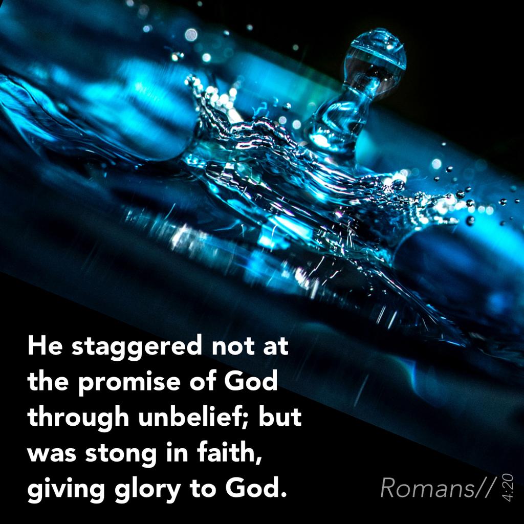 coastlinebc's tweet photo. The promise of trust. #coastlinbaptist #exponential #scriptrue #bible #dailyverse #Romans https://t.co/bUYmXZqqDg