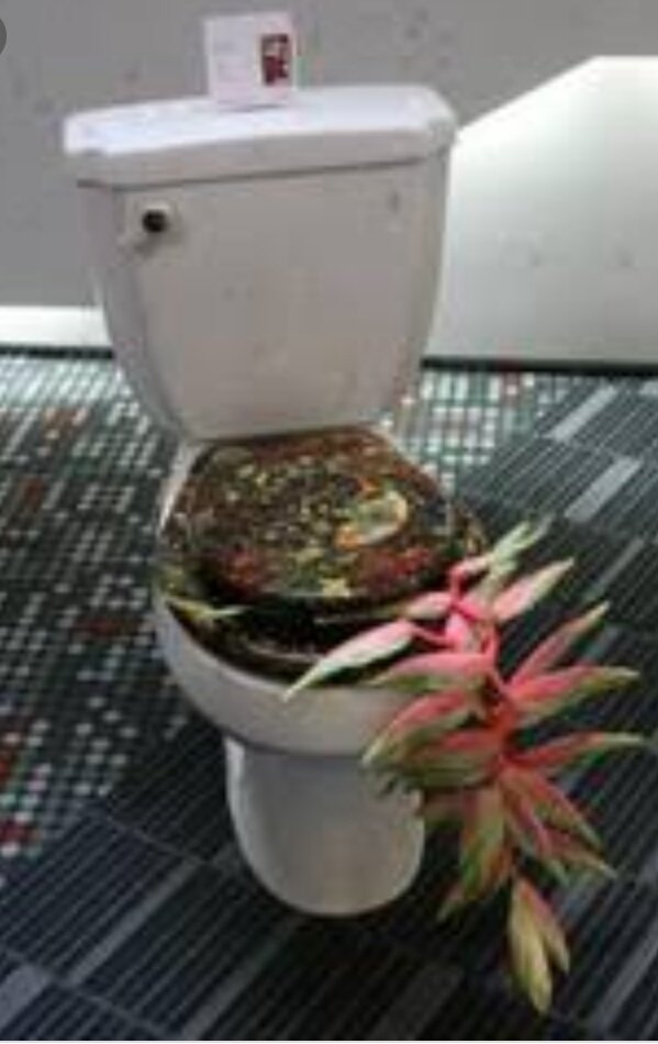 トイレ便座も可愛く 花をあしらったスケルトンな便座とかないかと挙げてみたら誤解をウンでしまったお話 Togetter