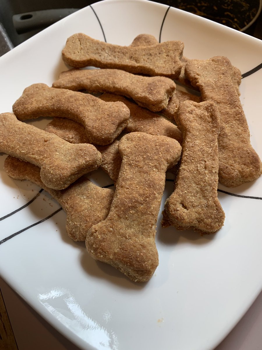 LincolnBMD's tweet photo. Today, my human cooked me up some special treats. House smells like heaven.
🐾
🐾
🐾
🐾
#dogs #treats #puppies #pups #pets #DogsofTwittter #BMD #GSD #bernermom #BerneseMountainDog #bernesemountaindoglovers https://t.co/7Q142vq7uP