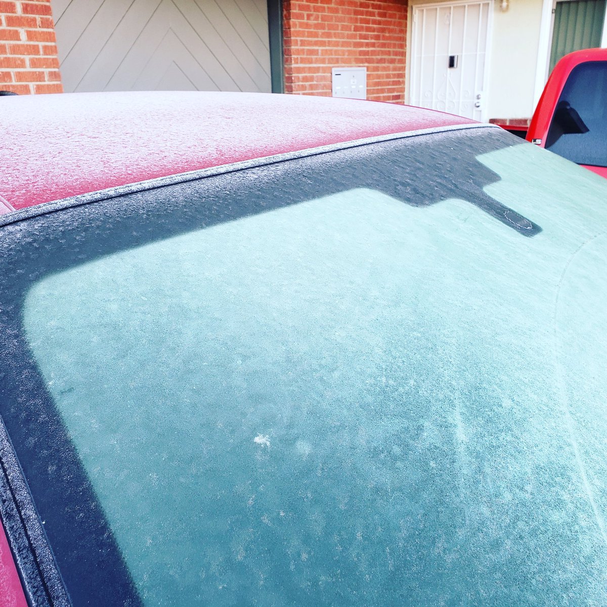 tjsradio's tweet photo. 寒い。。。ここは本当に南カリフォルニア？
#tjsradio #losangeles #socal #winter #寒い #cold #frost #霜 #南カリフォルニアライフ #japaneseradio https://t.co/70V2xrEzsc https://t.co/1dUpmkM7tM