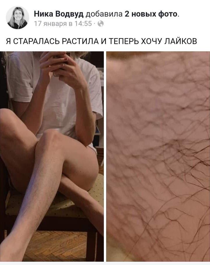 D0BX5BxX4AA17qP?format=jpg&name=medium