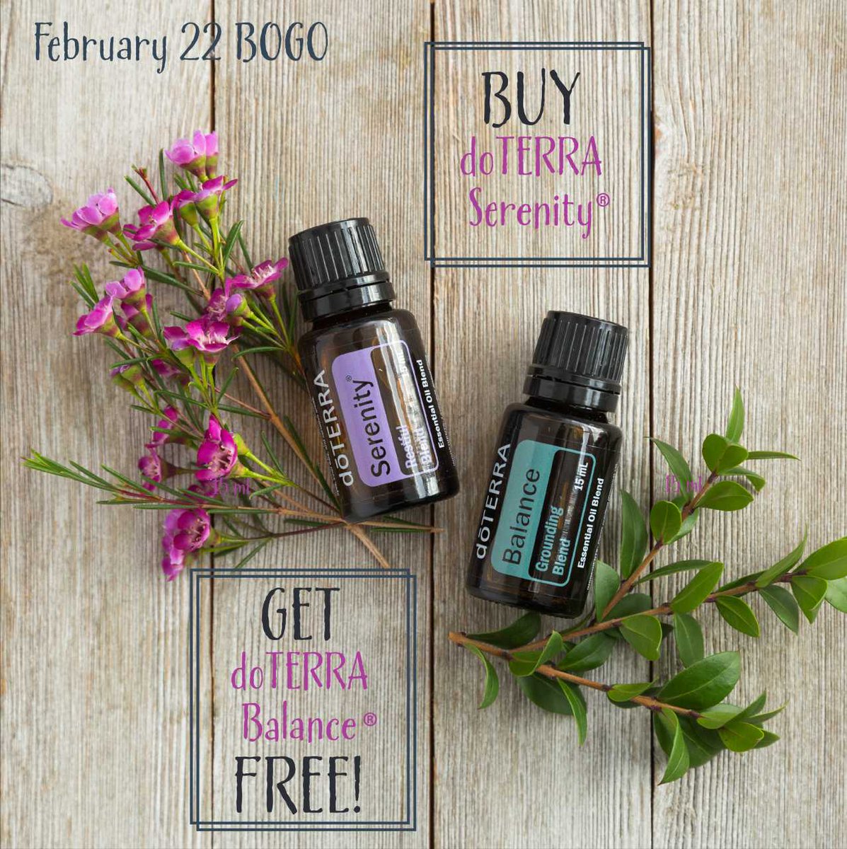 TheSistersEOils's tweet photo. Today only, when you buy doTERRA Serenity® 15 mL, you will receive doTERRA Balance® 15 mL for FREE! Simply add doTERRA Serenity to your cart, and doTERRA Balance will automatically appear when you click to process your order! #doterraBOGO https://t.co/YZ2KgES3Hi