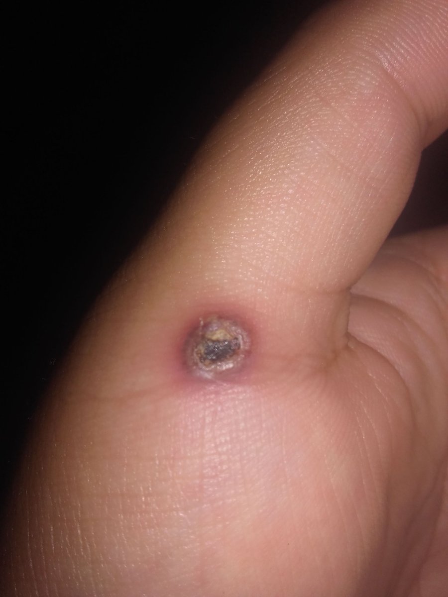 Mica_Shmarsow's tweet photo. Recordatorio para mi: siempre dar rt y den rt para que no les salga a ustedes. https://t.co/69TQRzXODx