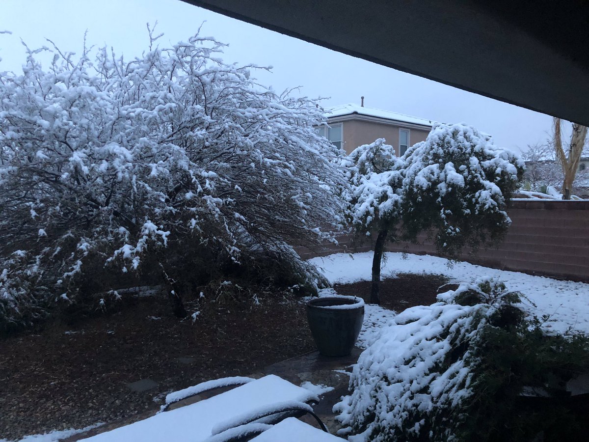 If Las Vegas NV is getting snow the hairy rodent that predicts the weather lied to us this year