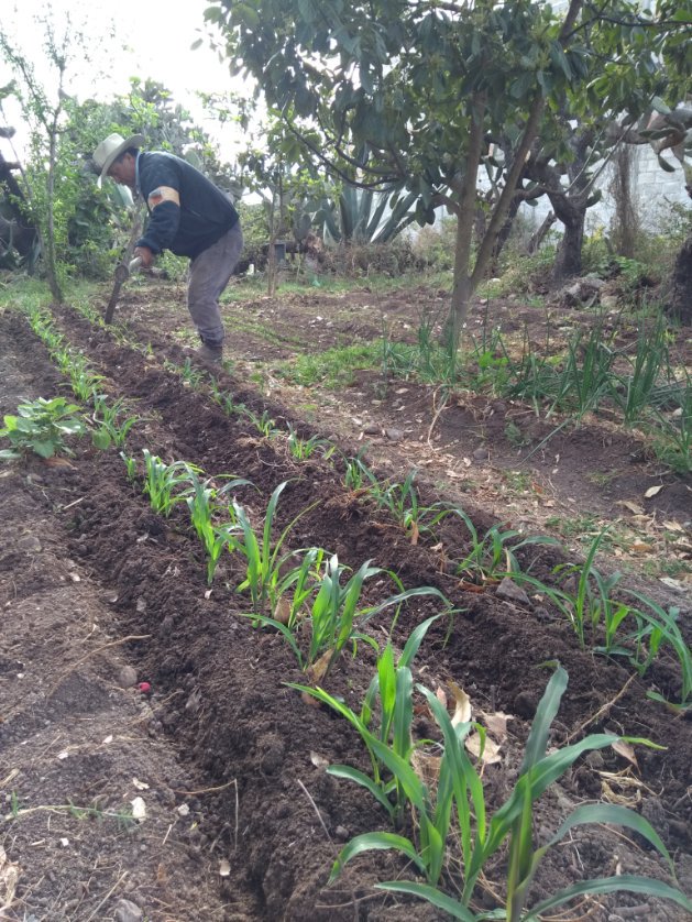 aagroriver's tweet photo. Muchas felicidades a todos los que día a día ponen un granito por las mejoras del campo Mexicano. Feliz día del #Agrónomo https://t.co/eFR0KI6eNH