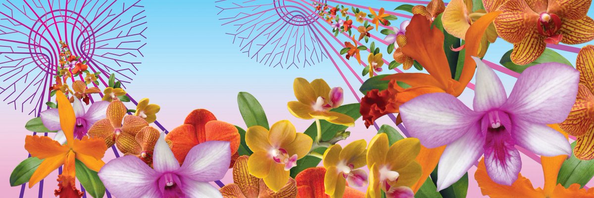 NYC Social tweet media