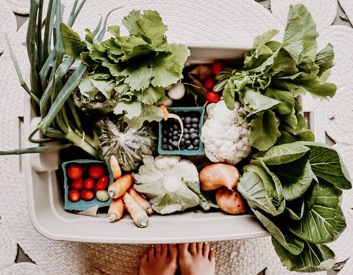 Fresh Harvest tweet media