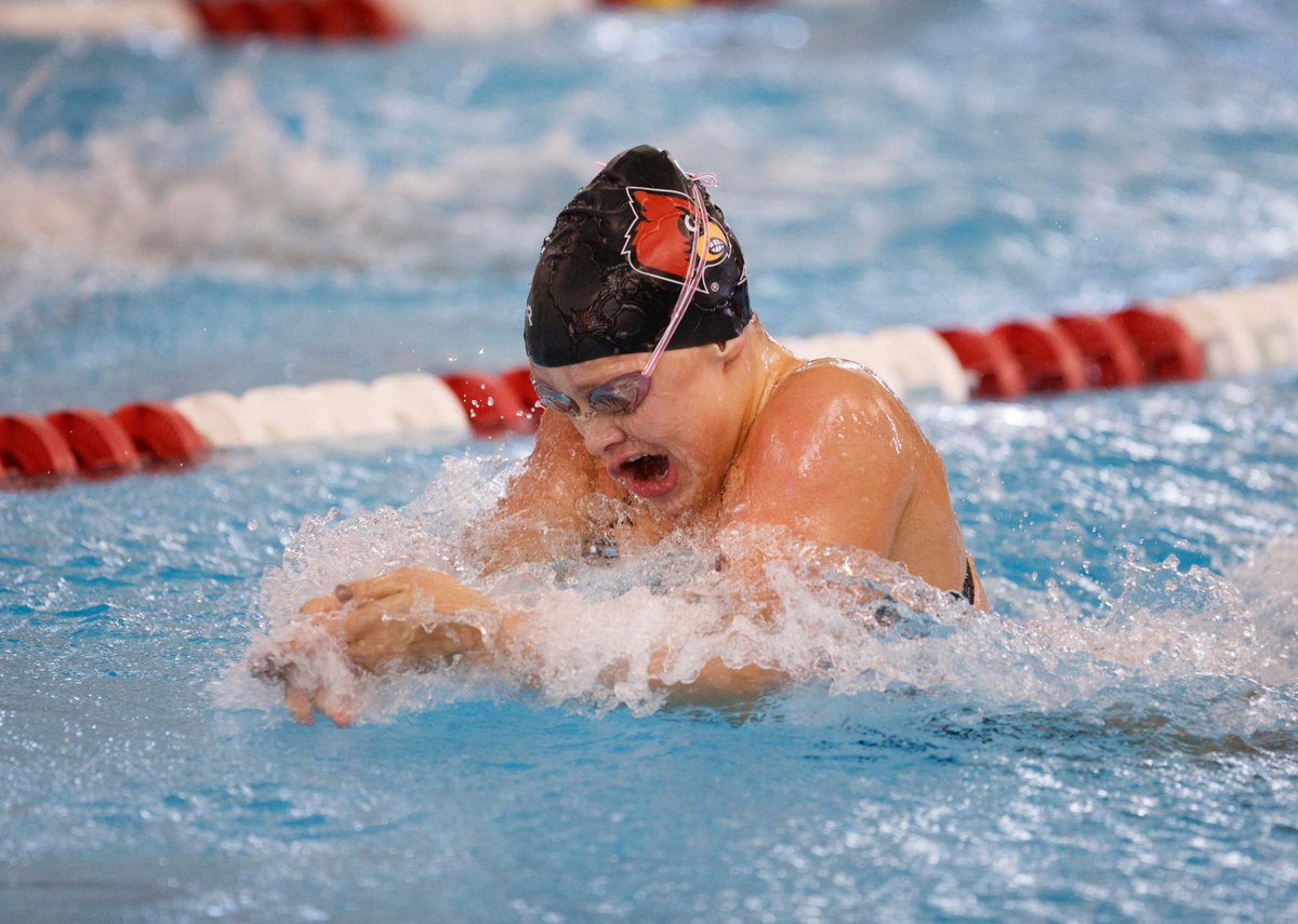 Louisville Swim & Dive tweet media
