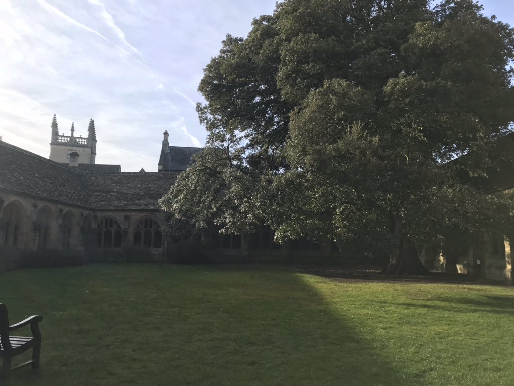 mini_le17's tweet photo. My Harry Potter dreams came true while walking through New College at Oxford University. Recognize the tree in the last photo? It’s where Draco was transfigured into a ferret! #oxfordarchitecture #londonpassport @syracuselondon https://t.co/t2EIlUyxLU