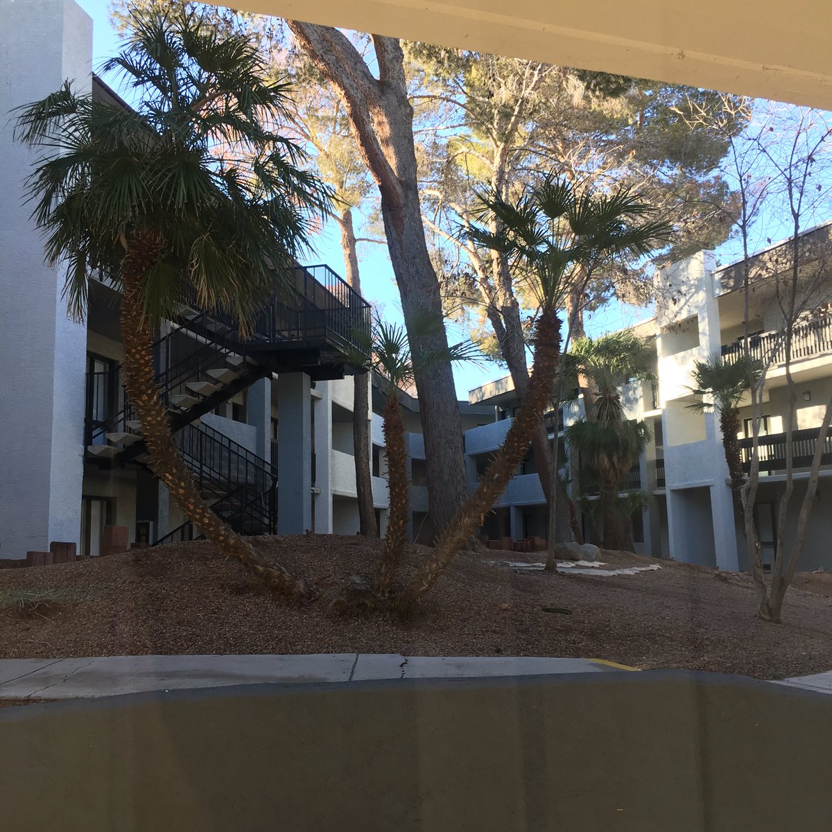 _xladyred's tweet photo. My view #Vegas #SinCity #REDDSPost #LadyREDD π΅π΄βοΈ https://t.co/Epllmr75yf