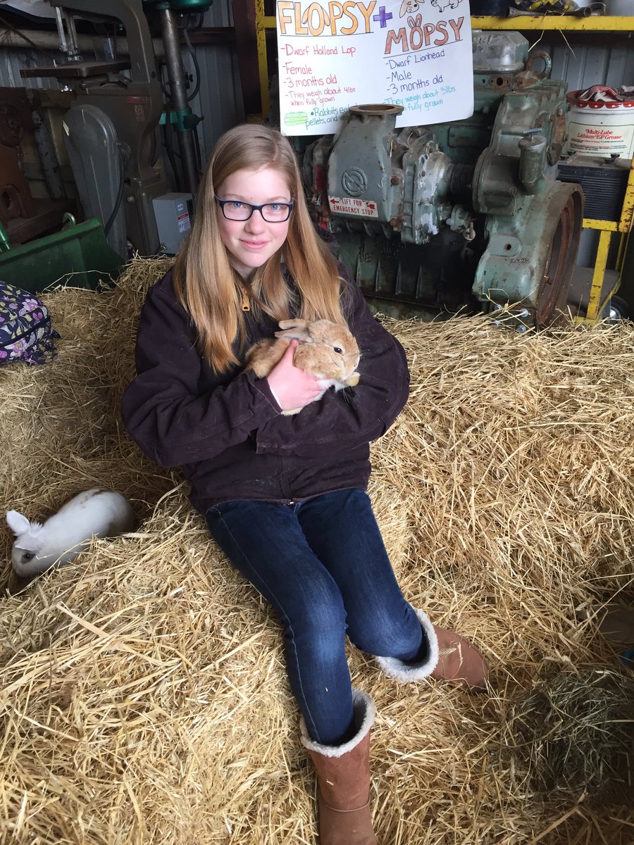 NBC_FFA's tweet photo. @NBC_FFA #FFAWeek2019 Petting Zoo! Members showing off their SAE projects! @NBCPride https://t.co/gwtvmxib8b
