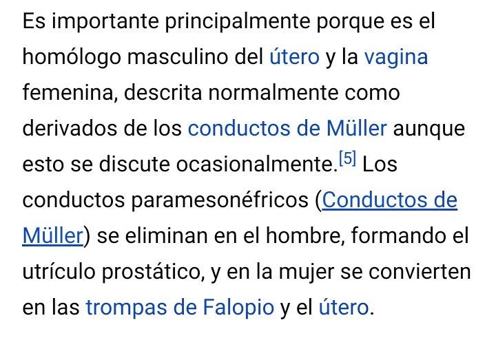estebank19's tweet photo. @ingefeto @UnFlaquito @katyayguavella Ahora sí se escuchó cerrarse  un orto😉 https://t.co/QJKzkh2adk