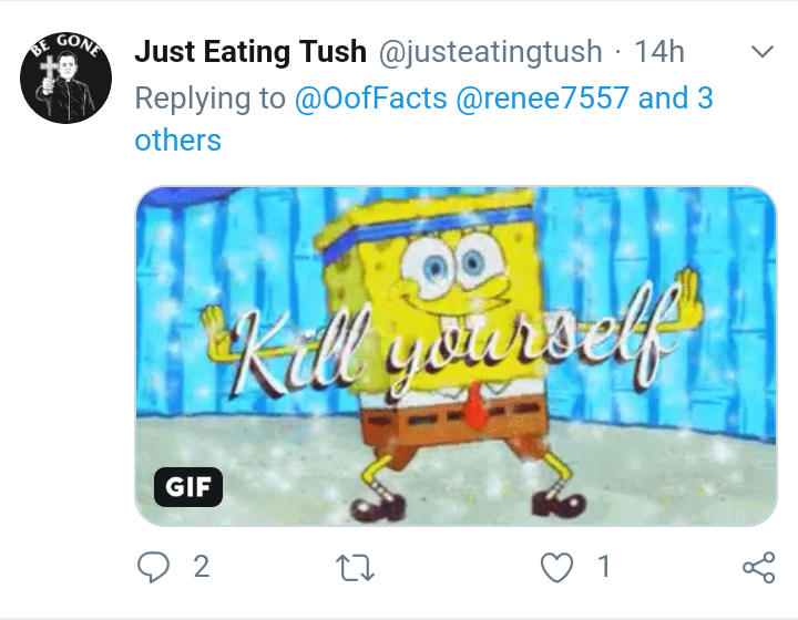OofFacts's tweet photo. @renee7557 @RealStreamNews @justeatingtush we are so "worried" how this GIF is a death threat to heaven. We also have a nice, eat shit and die from her. But i guess thats fake to. If some of you wanna continue talk, at least unblock me so you can @ me. 😘 https://t.co/lOLhDktEae