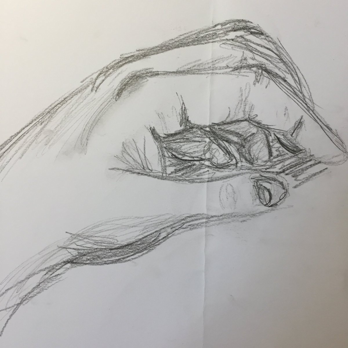 Elements_Groupe's tweet photo. • Ce matin, c'était atelier créatif chez @Elements_Groupe ! •
"Une heure pour apprendre à connaitre notre cerveau droit pour libérer le créatif qui sommeille en nous..."💤
#creativity #makersgonnamake #lesson #teaching #drawing #communication #elementsgroupe #marketingagency https://t.co/8OLYI5hfjC