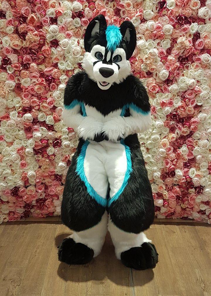 Nebraska Husky tweet media