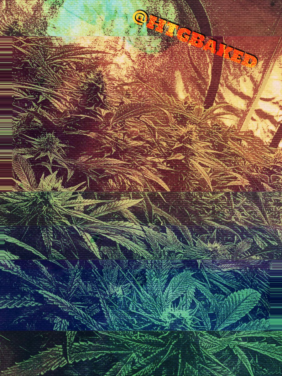htgbaked's tweet photo. Happy Friday✌️
Thanks to everyone who follows our page, we greatly appreciate the support 🙌
Please share our page to others who will enjoy our content 🤙

#cannabis #cannabiscommunity #cannabisculture #cannabiscures #cannabisgrower #weed #weedlife #growyourown #stonerfam https://t.co/L4oXgicXiq